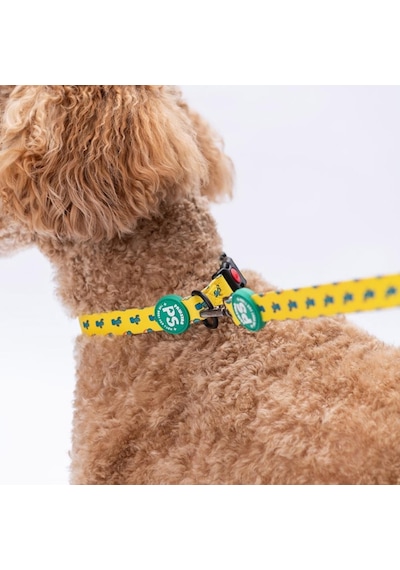 Cactus Kaktüs Desenli Köpek Boyun Tasması Ayarlanabilir Köpek Tasması M Size 32-48cm Boyun Aralığı Sarı