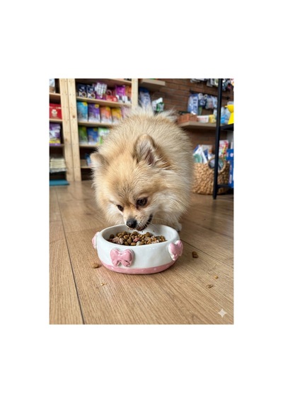 Pembe Fiyonk Küçük Köpek Mama Kabı