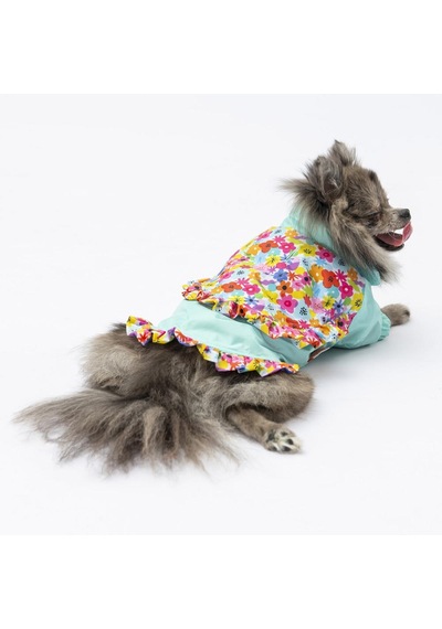 Mint Victoria Köpek Mont Köpek Yağmurluk Köpek Kıyafeti Köpek Elbisesi Mint Victoria Köpek Mont Köpek Yağmurluk Köpek Kıyafeti Köpek Elbisesi