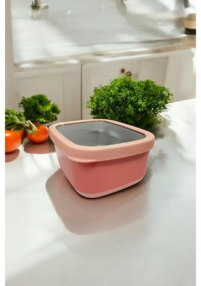 Dikdörtgen Saklama Kabı 2 L Pembe Vp-931, Pembe Çok Renkli