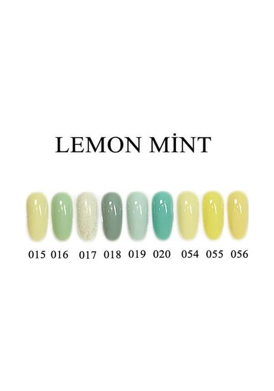 Gelisa Kalıcı Oje 18ml Lemon Mint A017 Diğer