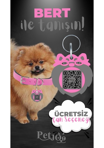Petjoo 13.Bert Gri-Pembe Qr'lı Köpek Künyesi