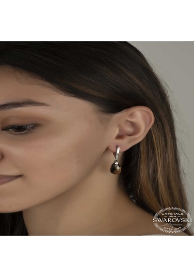 Swarovski Crystal Taşlı Gümüş Damla Sallantılı Kadın Küpe Diğer