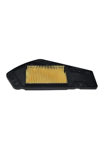 RKS BITTER 125 HAVA FİLTRESİ İÇİ