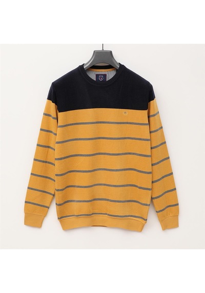 Dio Rise Erkek Uzun Kol İnce Sweatshirt - Czt-109 - Safran SAFRAN