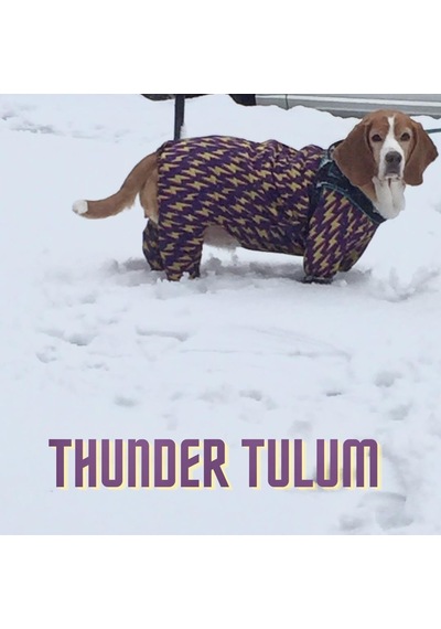 Alphadog Thunder Polarlı Küçük Irk Köpek Yağmurluk Tulumu