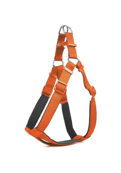 Köpek Bel Tasması 70cm Large Tcu Çok Renkli