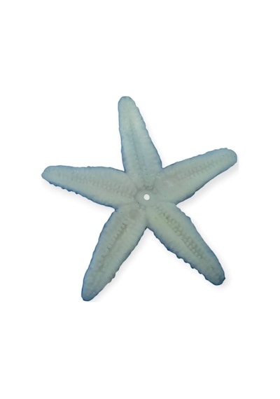Hayvan Figürleri - Deniz Hayvanları 10 Cm - Deniz Yıldızı