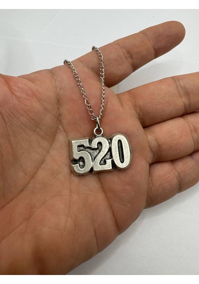 520 Numeroloji Bereket Unisex Kolye 60 Cm Zincirli, Anlamlı Tasarım Çok renkli