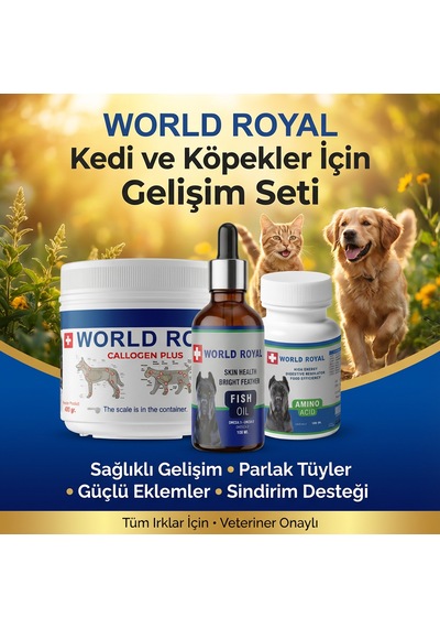 Köpekler İçin Gelişim Seti Collajen -amino Acıd -fısh Oil Omega3-6