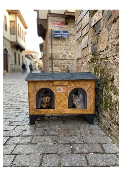 Reyo Narım 2 Kedilik Kedi Evi Su Ve Soğuk Yalıtımlı İç Ve Dış Mekan Kedi Barınağı