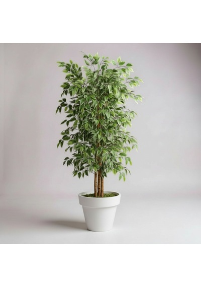 150 Cm Yapay Ficus Beyaz Plastik Saksı Dekoratif Ağaç