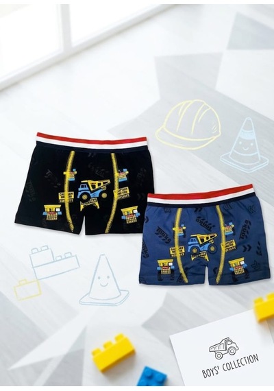 Erkek Çocuk Renkli Pamuklu Boxer 2 ' Li Paket Karışık Çok Renkli