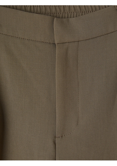 Lcw Vision Kahverengi Regular Fit Erkek Pileli Pantolon