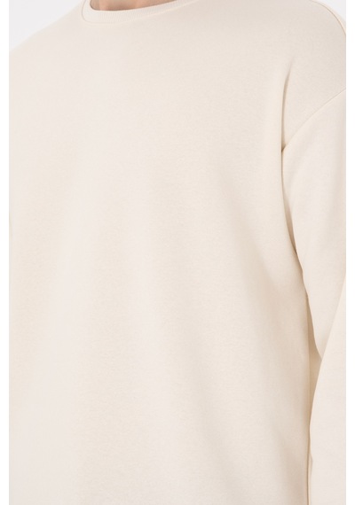U.S. Polo Assn. Erkek Comfort Fit Bisiklet Yaka Krem Sweatshirt 50293438-VR071