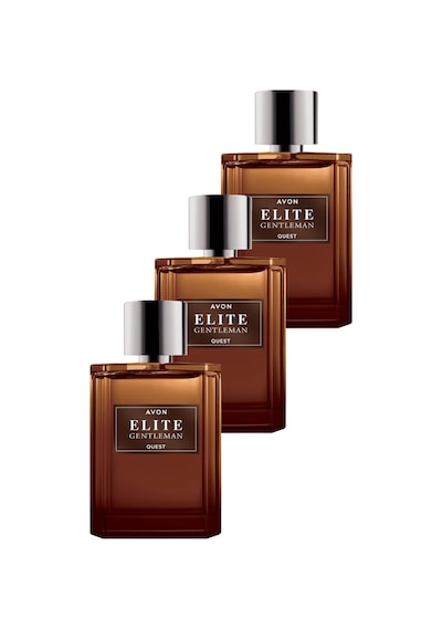 Avon Elite Gentleman Quest Erkek Parfüm EDT 3 x 75 ML