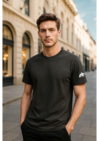Erkek Bisiklet Yaka Basic Düz Kısa Kollu Gri T-shirt Çok Renkli