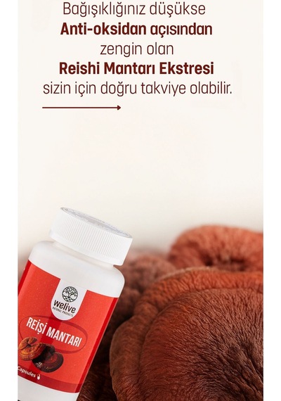 Reişi Mantarı 1000 Mg Günlük Destek 60 Kapsül Bitkisel Takviye