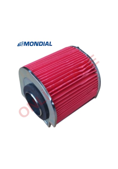 Mondial Mct 250 Hava Filtresi, Mct250 Hava Fitresi A Kalite