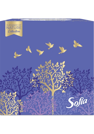 Sofia Küp Kutu Mendil 50'li 2 Adet