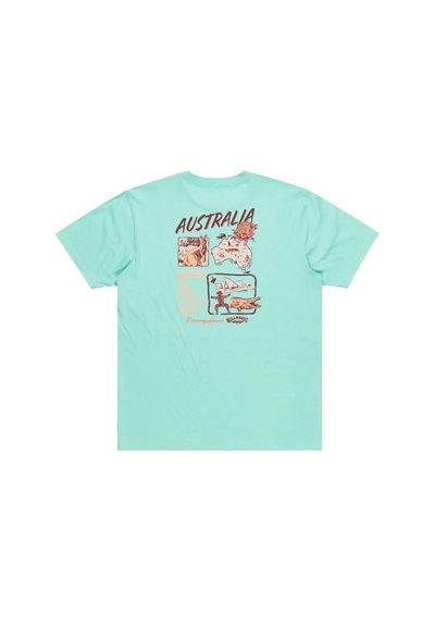 Billabong Dreamy Place Ss Erkek T-shirt Ebyzt00294-6516 Turkuaz