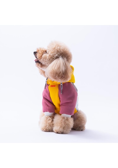 Sarı Rio Köpek Hoodie Köpek Sweat Köpek Kıyafeti Kedi Kıyafeti