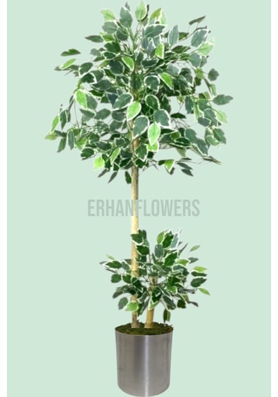 150 Cm Ficus Yapay Ağaç Bambu 2 Gövdeli Metal Saksı Yeşil