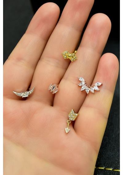Papatya Silver Çelik Üç Renkli 5'li Kombinli Tragus Küpe Model5