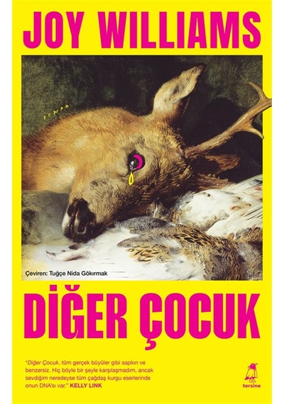 Diğer Çocuk / Joy Williams