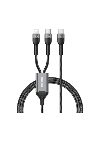 Recci RTC-T16 Apple iPhone Uyumlu Pd Şarj Kablo 2 İn 1 65w Pd Hızlı Şarj Lightning/type-c To Type-c Pd Kablo 1.2m Recci RTC-T16 Apple iPhone Uyumlu Pd Şarj Kablo 2 İn 1 65w Pd Hızlı Şarj Lightning/type-c To Type-c Pd Kablo 1.2m