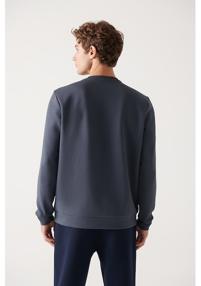 Avva Erkek Antrasit Sweatshirt Bisiklet Yaka Esnek Yumuşak Doku İnterlok Kumaş Standart Fit Normal Kesim B001100 Antrasit