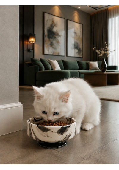 Mama Kabı Kedi Ve Köpek 1 Adet Doğal Mama Veya Su Kabı Siyah Marble
