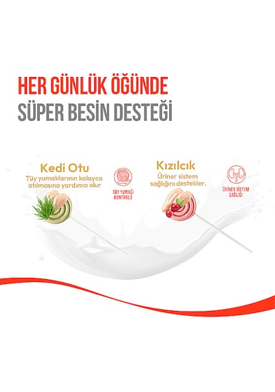 Wanpy Kediler İçin Dondurularak Kurutulmuş Lolipop - Kedi Otu - 1.4 G 10'lu