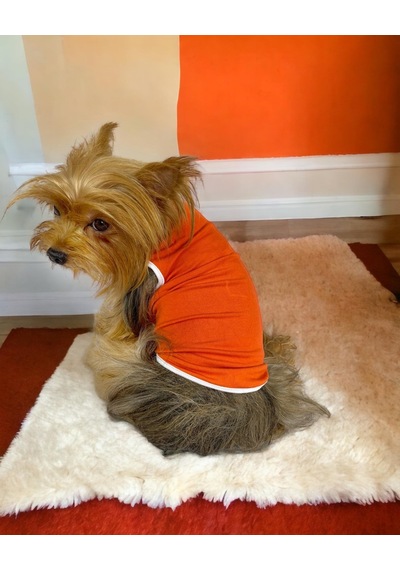 Kemique Basic Orange Atlet Köpek Kıyafeti Köpek Elbisesi