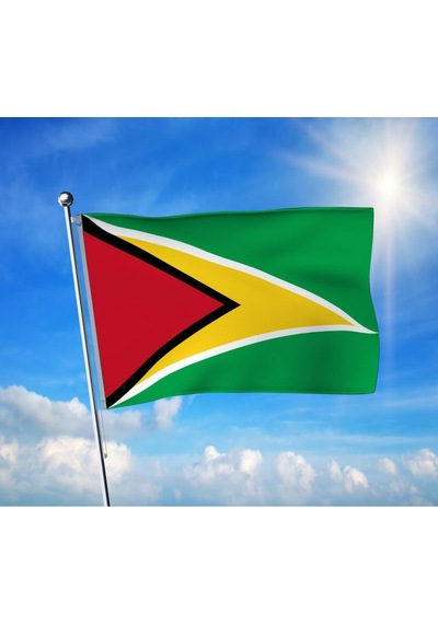 Guyana Devleti Bayrağı Premium Raşel Kumaş 70x105 Cm Diğer