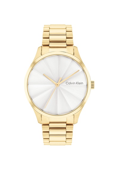 Calvin Klein CK25200232 Kadın Kol Saati