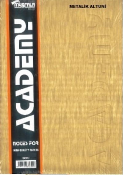 Defter 400 Yaprak Ciltli 20x28 Sert Kapak Çizgili Özkan Metalik Gri