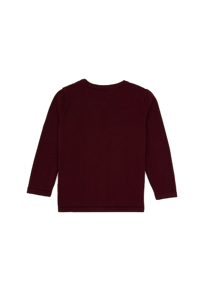 U.s. Polo Assn. Kız Çocuk Plum Hırka Triko 50316292-vr177 New Plum