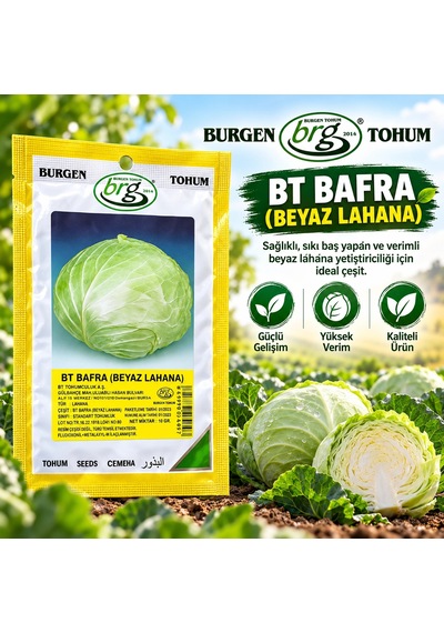 Bafra Beyaz Lahana Tohumu 10 Gr