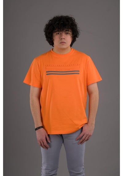 Slimfit Baskılı Sıfır Yaka Erkek Penye T-Shirt (539781109)