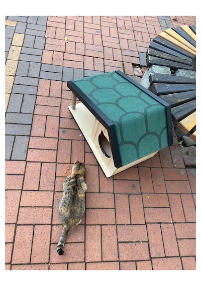 Reyo Narım Ahşap Mama Standlı Tırmalama Tahtalı Özel Tasarım Kedi Barınağı, Kedi Barınağı 74x45 Cm
