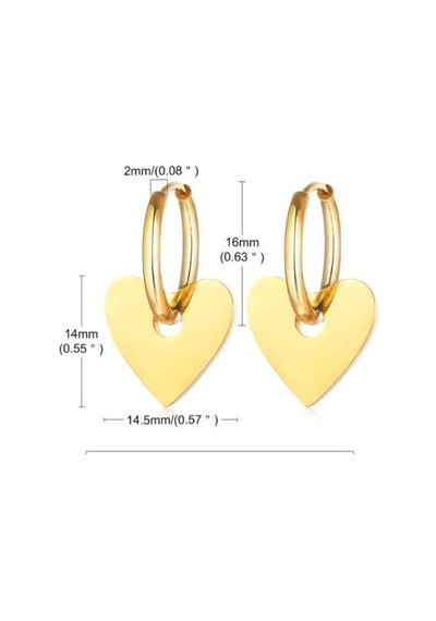 Kalp Çelik Paslanmaz Halka Küpe Gold - 702616088 Gold