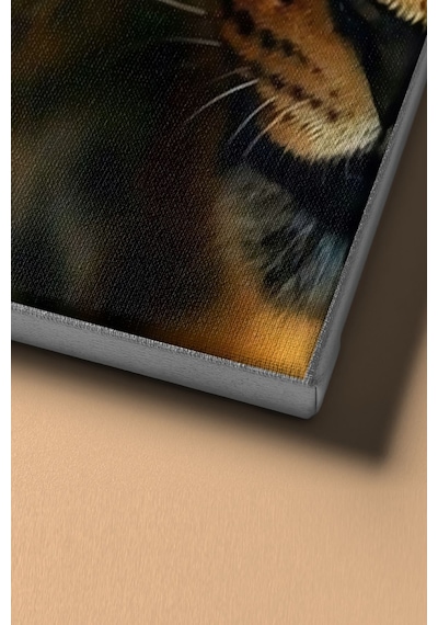Webstyle Sayılarla Boyama Seti Kasnaklı Vahşi Güzel 50 X 65 Cm