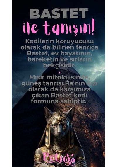 Petjoo 1.Bastet Pembe-Gri Qr'lı Kedi Künyesi