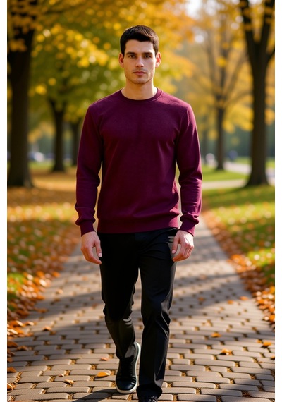 Benerly Erkek Bisiklet Yaka Standart Kol Regular Kalıp Sweatshirt Fonksiy Bordo