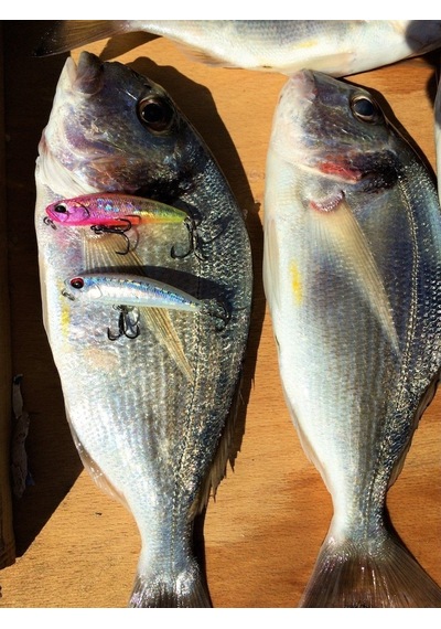 Duo Drag Metal Cast Jig 30Gr. Pda0005 / Silver
