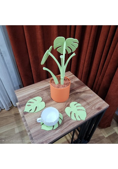 Monstera Coasters Bardak Altlıkları Yeşil