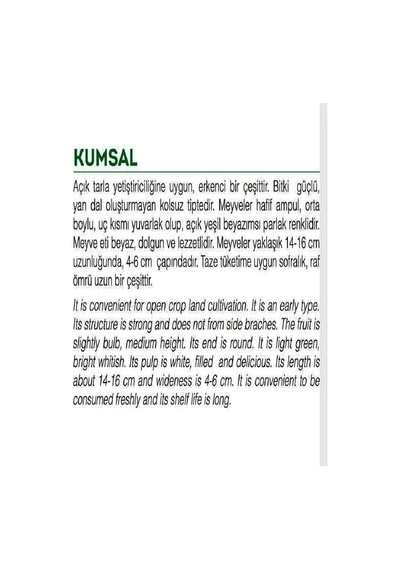 Ata Tohumu Yerli Ampul Kabak Kumsal 20 Adet Tohum