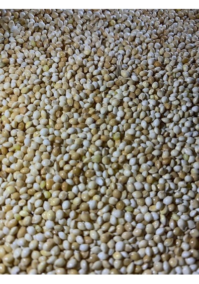 Ak Darı Muhabbet Kuşu Yemi Kuş Yemi 5 KG