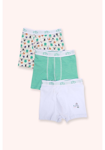 Panço Erkek Çocuk Canavar Figürlü Yeşil 3'lü Boxer Seti